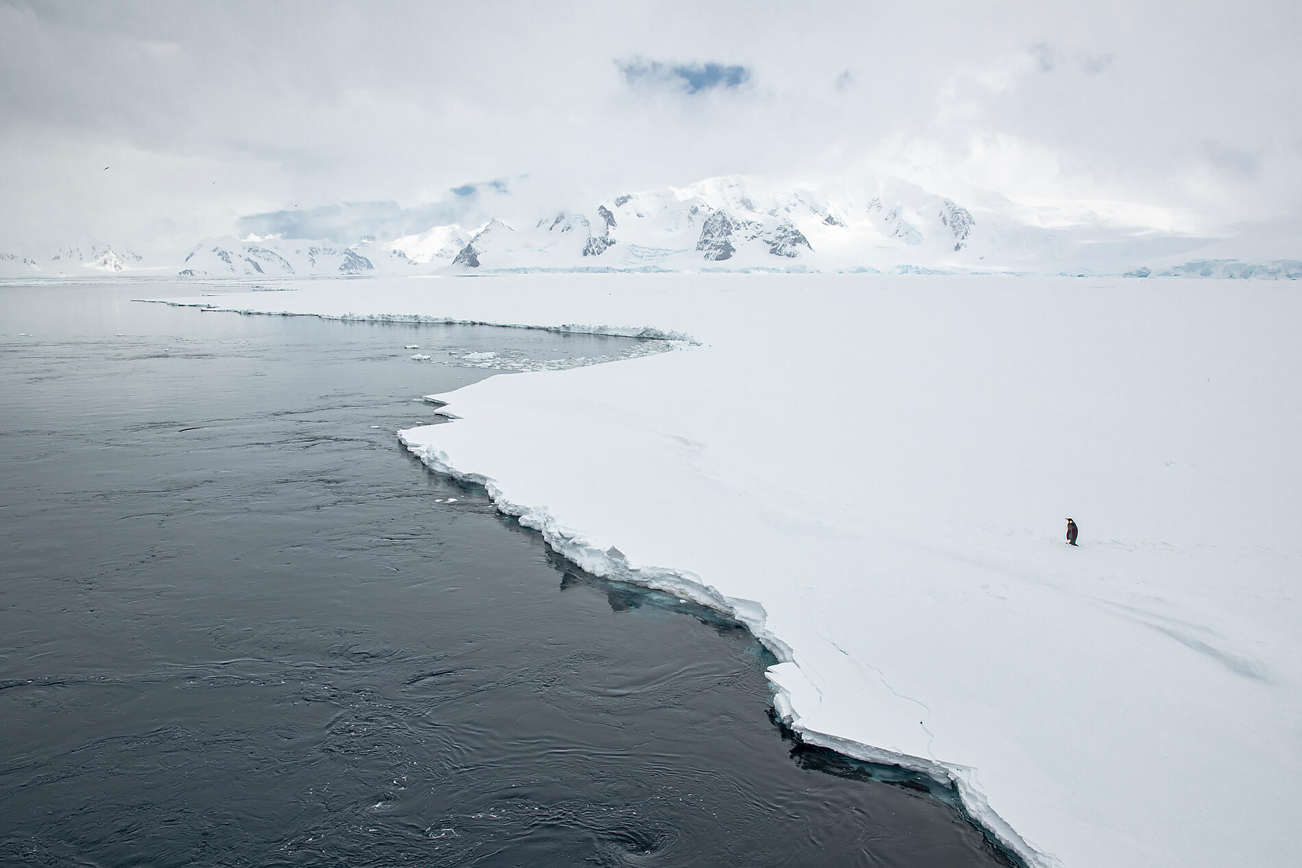 N-1163_O011121_PuntaArenas-PuntaArenas©StudioPONANT-Olivier Blaud.jpg