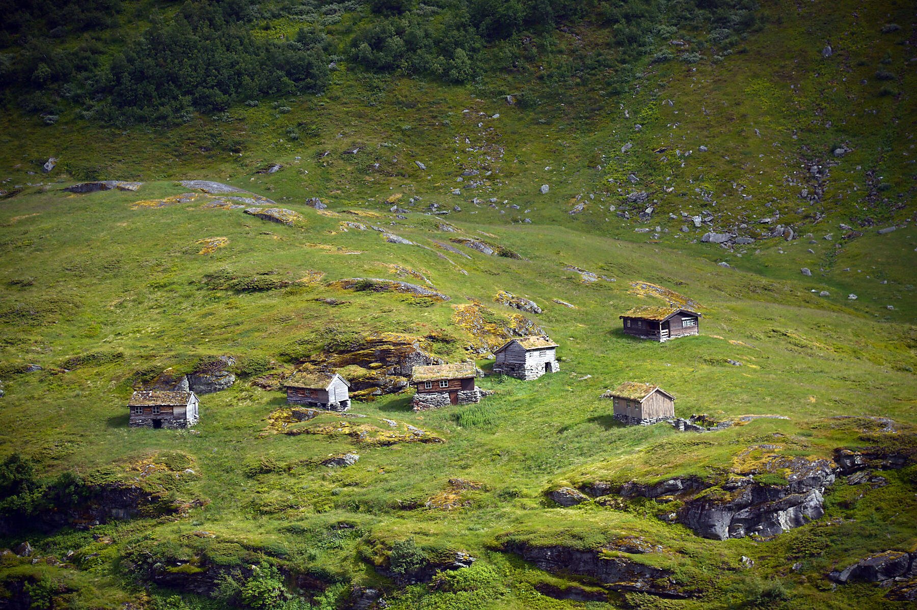 n-351_B150618_Oslo-Bergen©StudioPONANT-Lea Paulin.jpg