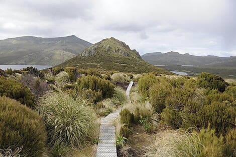 22 Jan 26 - Campbell Island