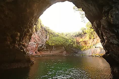 17 Jan 26 - Musgrave Inlet, Auckland Islands