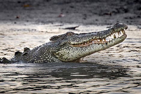 22 Jun 26 - Darwin