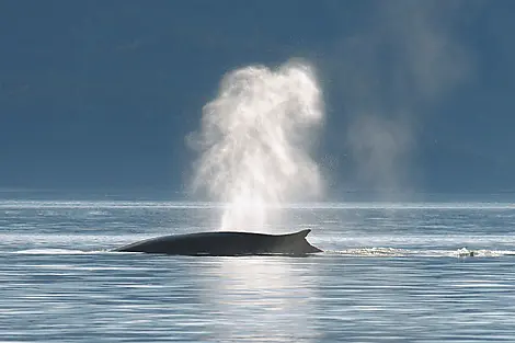9 Aug 27 - Sailing River Saint Lawrence and going through its locks