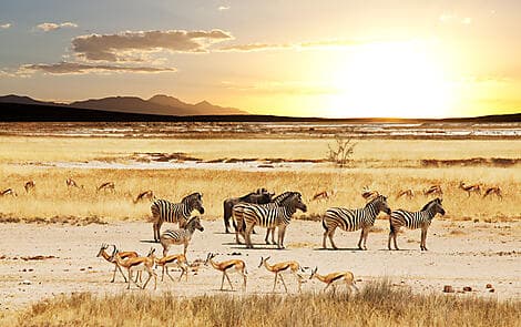 17 Mar 26 > 18 Mar 26 - Richards Bay