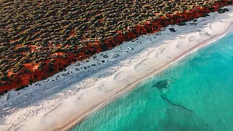 5 Aug 27 - Shark Bay World Heritage Area
