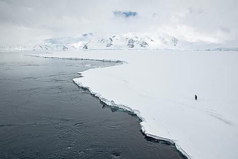 6 Jan 26 - The Gullet