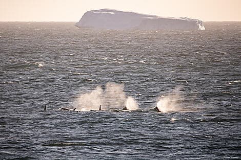 25 Jan 26 - Amundsen Sea
