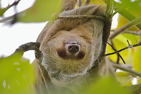 29 Dec 26 - Puntarenas