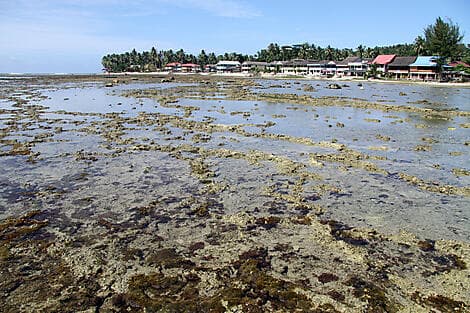 16 Jan 26 - Pulau Nias, Greater Sunda Islands