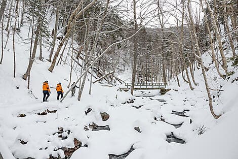 7 Mar 27 - Corner Brook