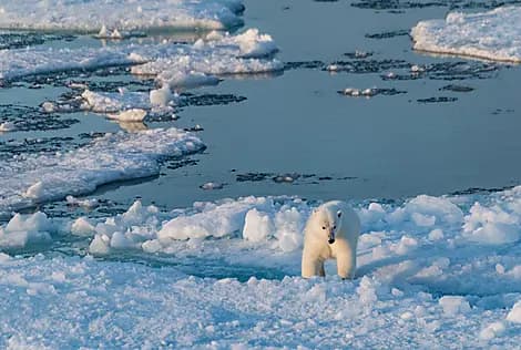 7 Sept 27 - Coningham Bay, Nunavut