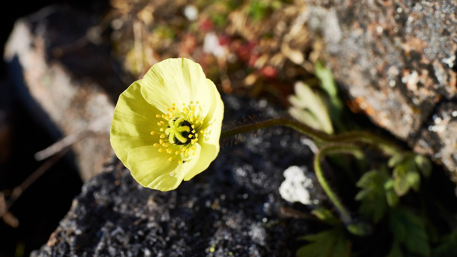 In the heart of the Northwest Passage ©N.Dub