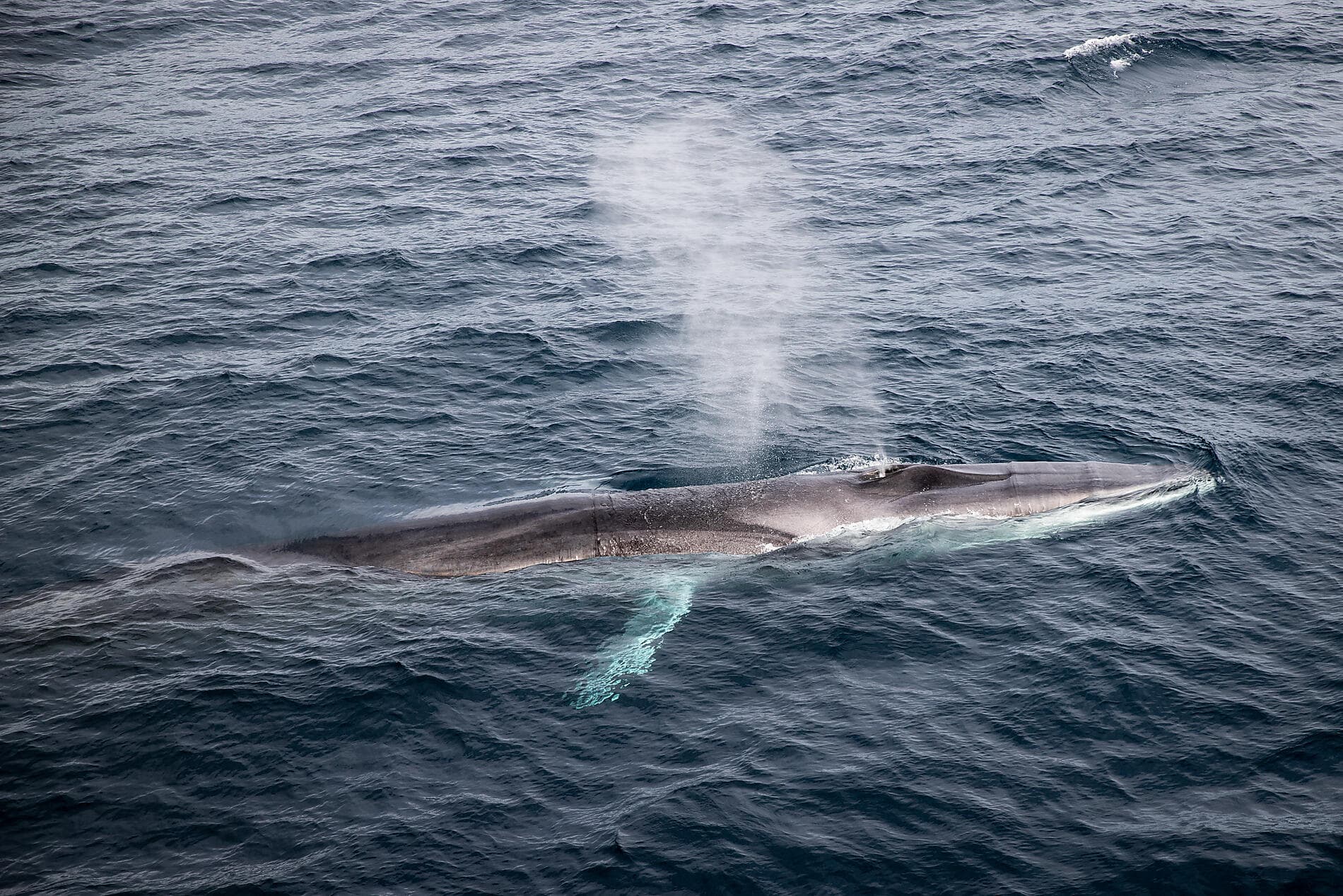 Inuit spring of Ammassalik 