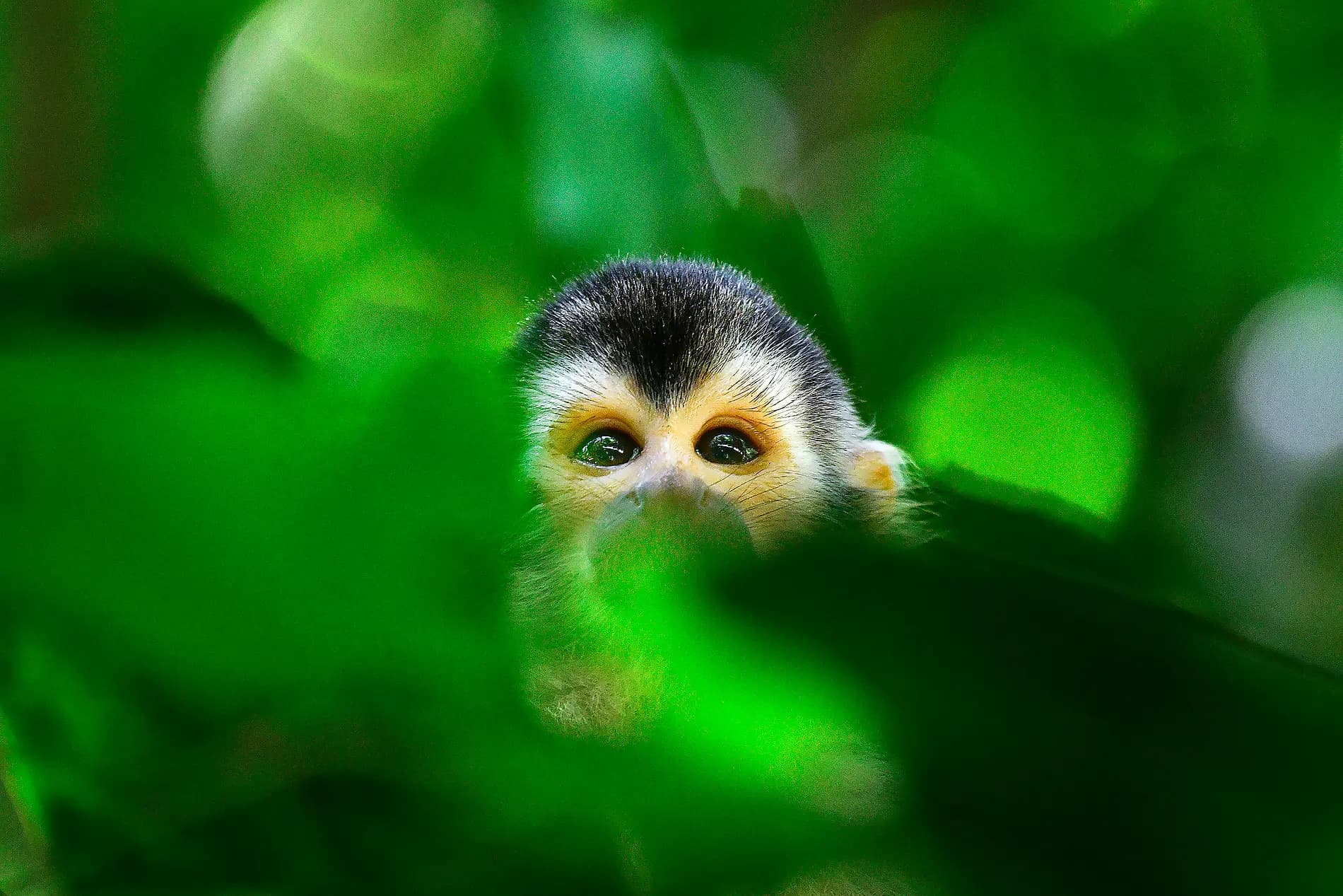 Pacific Coast of Costa Rica 