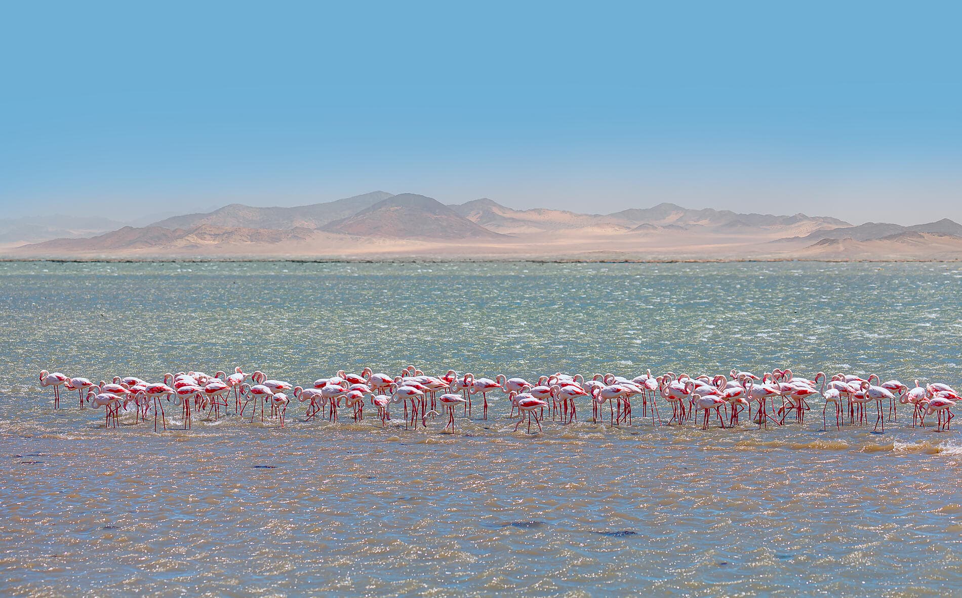 Namibian & South African Coastlines 