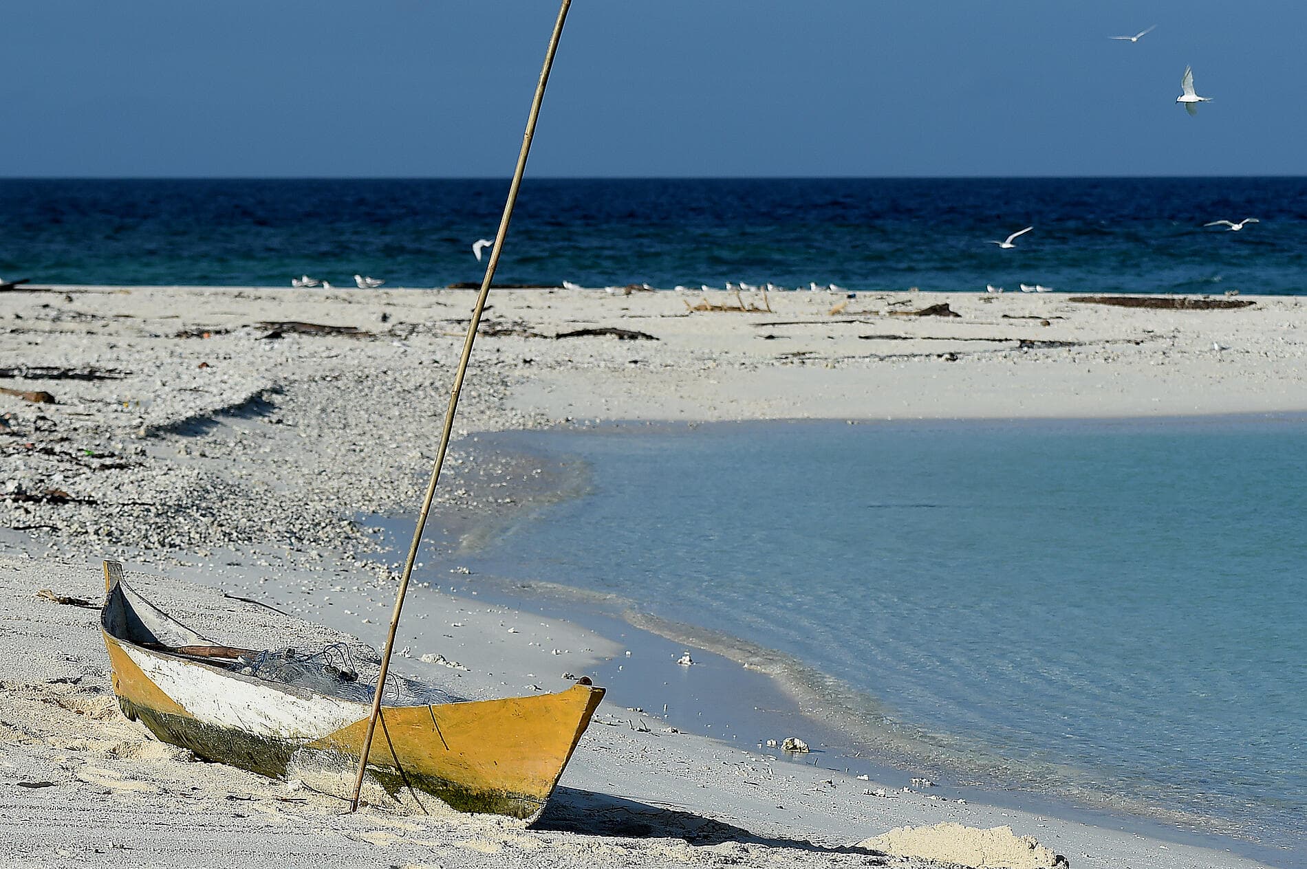 Tropical Odyssey between North East Australia and Indonesia