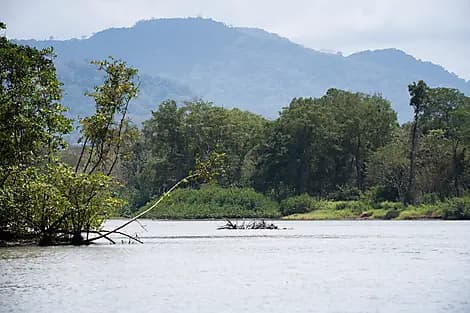 3 Jan 27 - Playa Mantas