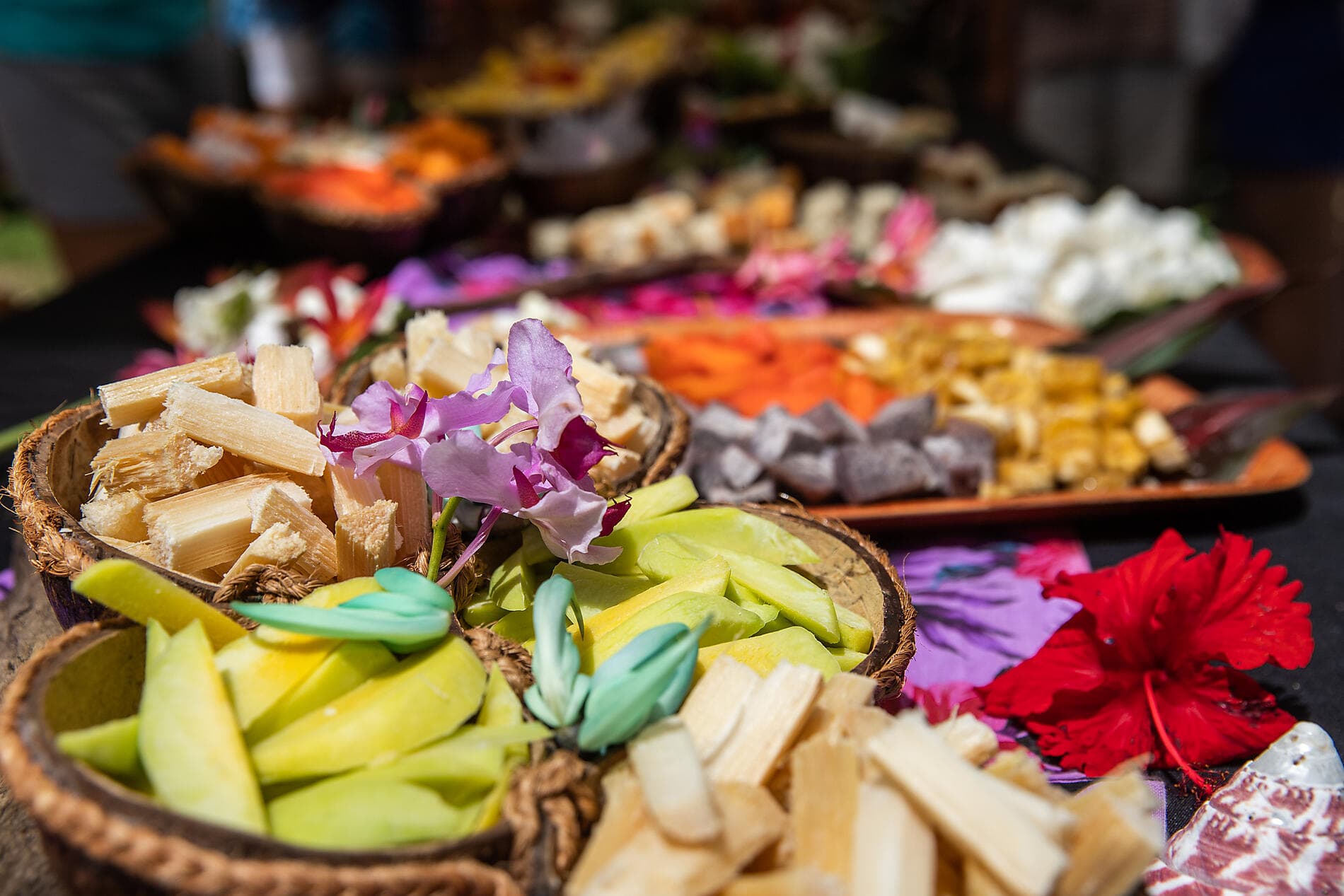 Secret Polynesia: Unexplored Tuamotu, the Gambier Islands and the Austral Islands 