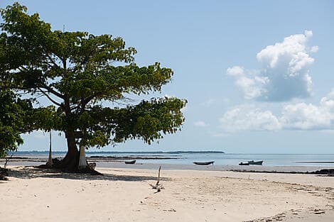 29 Nov 25 - Joao Vieira Island, Bijagos