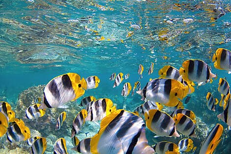 1 Jan 26 - South Friars Bay, Saint Kitts