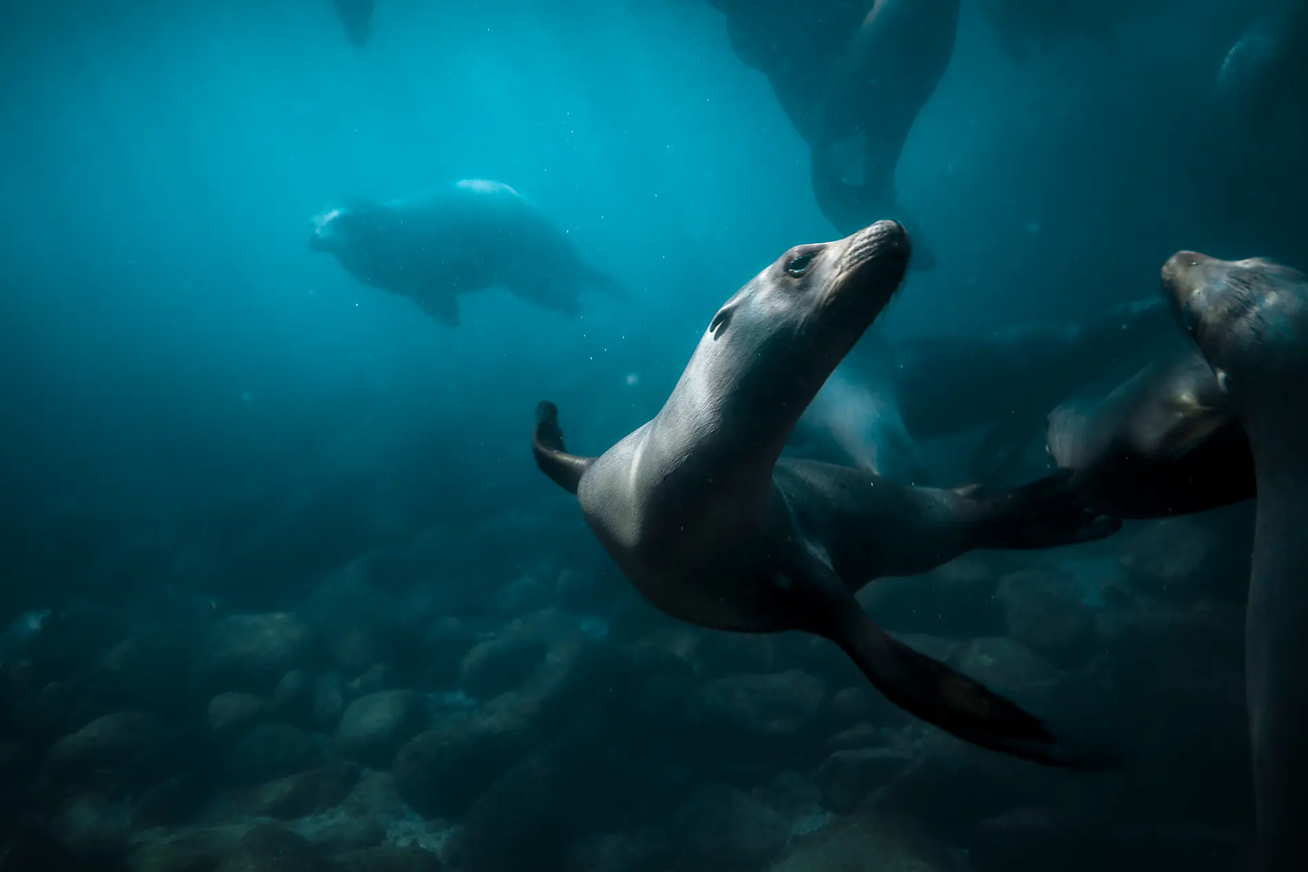 Exploration in the Heart of Baja California 