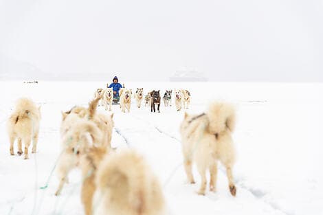 5 Aug 26 - Qeqertarsuaq