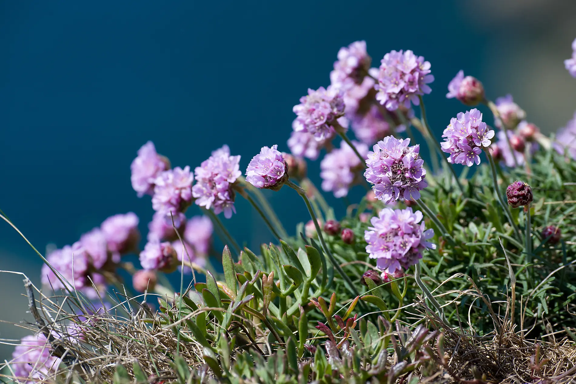 Circumnavigation of the Emerald Isle 