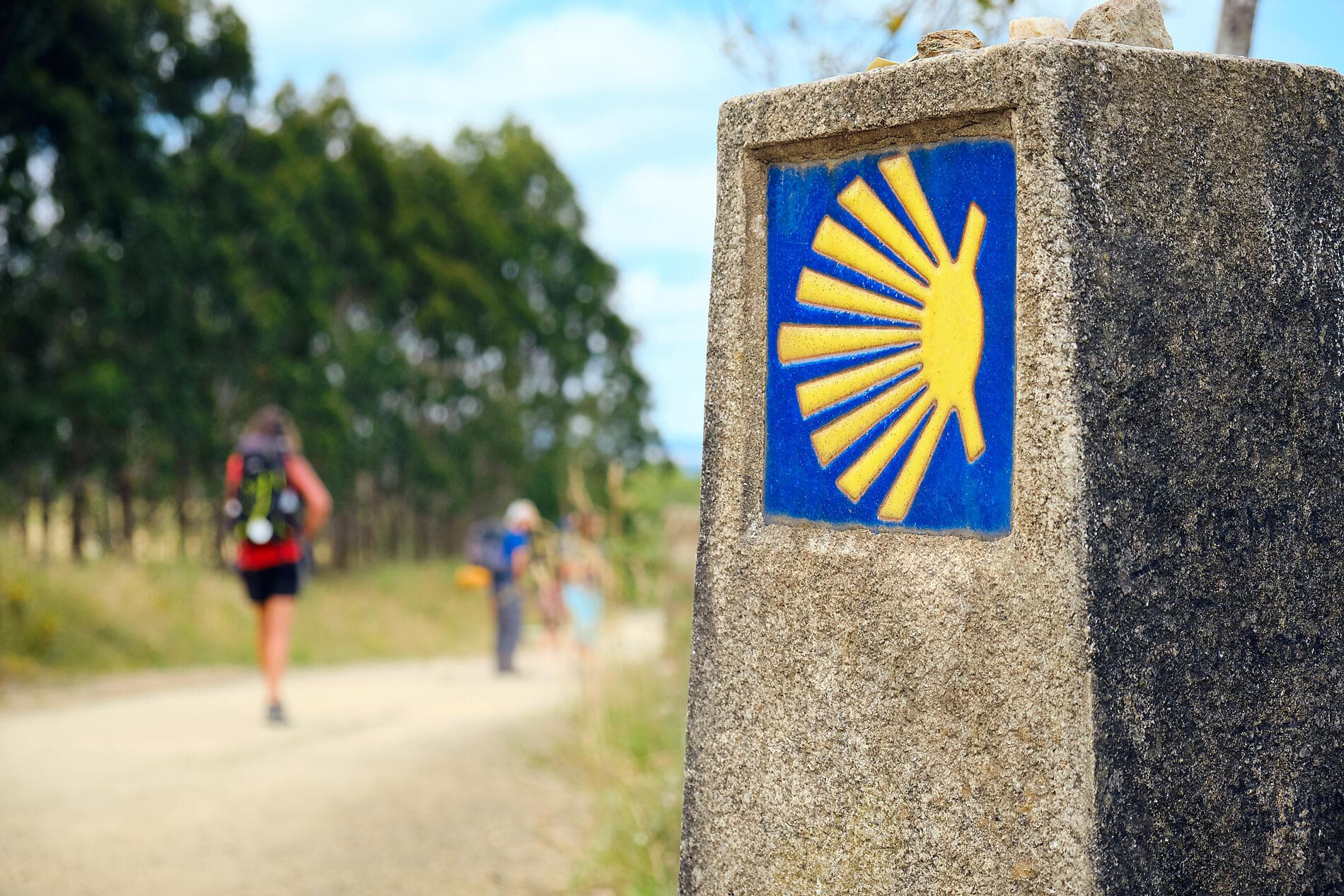 Green Shores: Exploring the Bay of Biscay and Iberian Coastline 