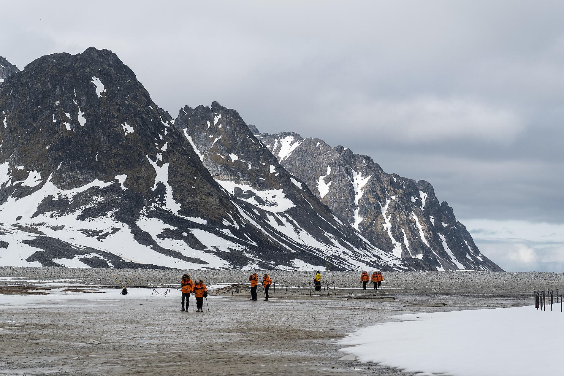 In the ice of the Arctic, from Svalbard to Greenland  