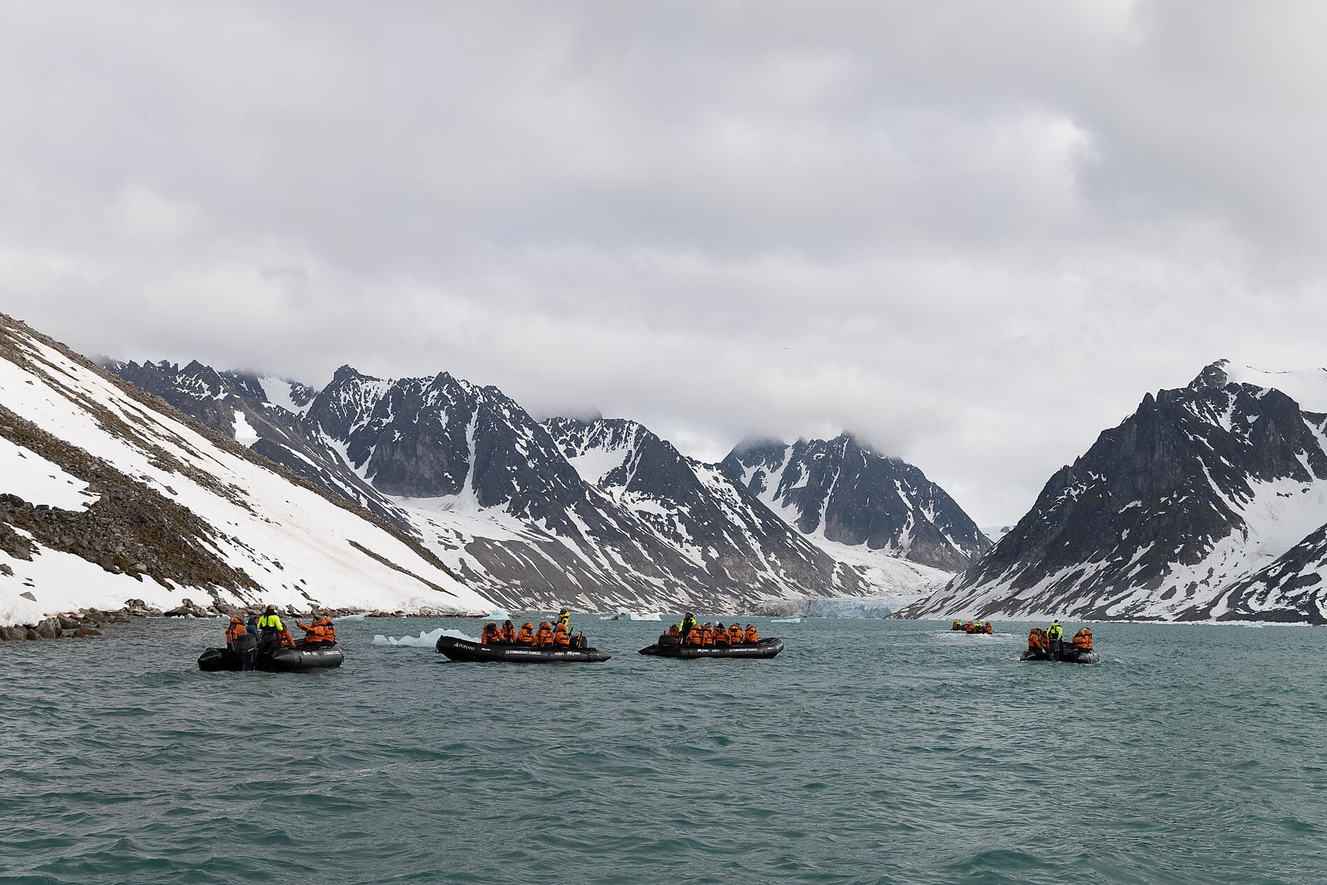 In the ice of the Arctic, from Svalbard to Greenland  