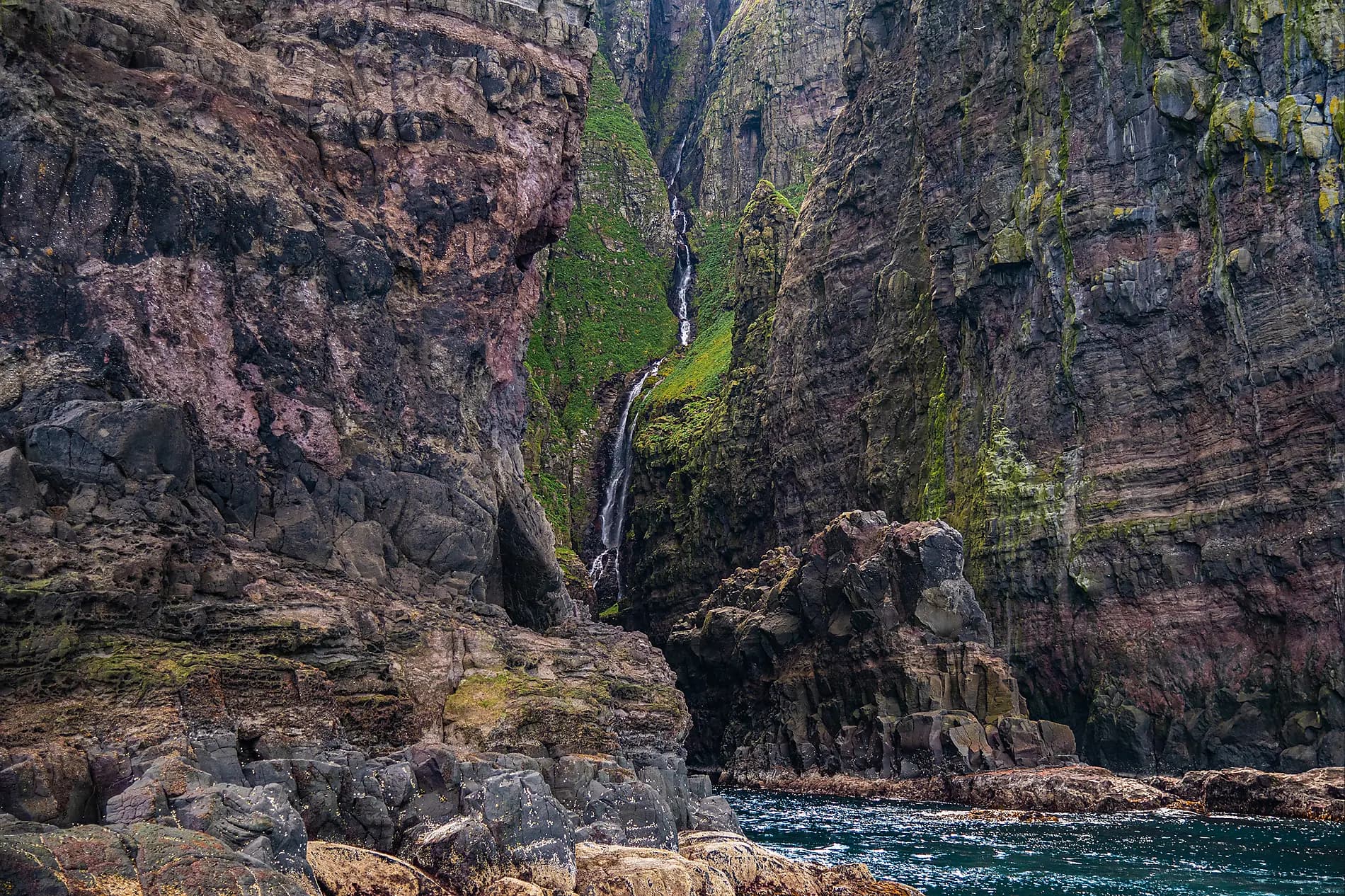 The wild archipelagos of the North Atlantic  