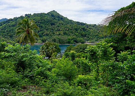7 Feb 27 - Samarai Island