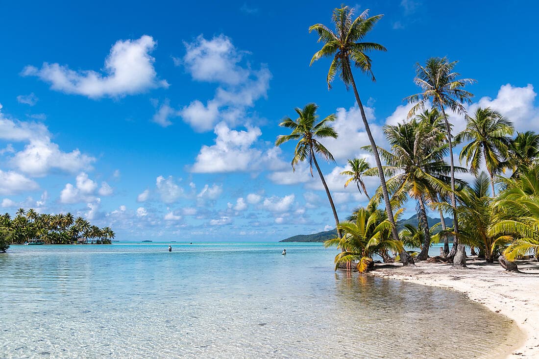 Marquesas, The Tuamotus & Society Islands