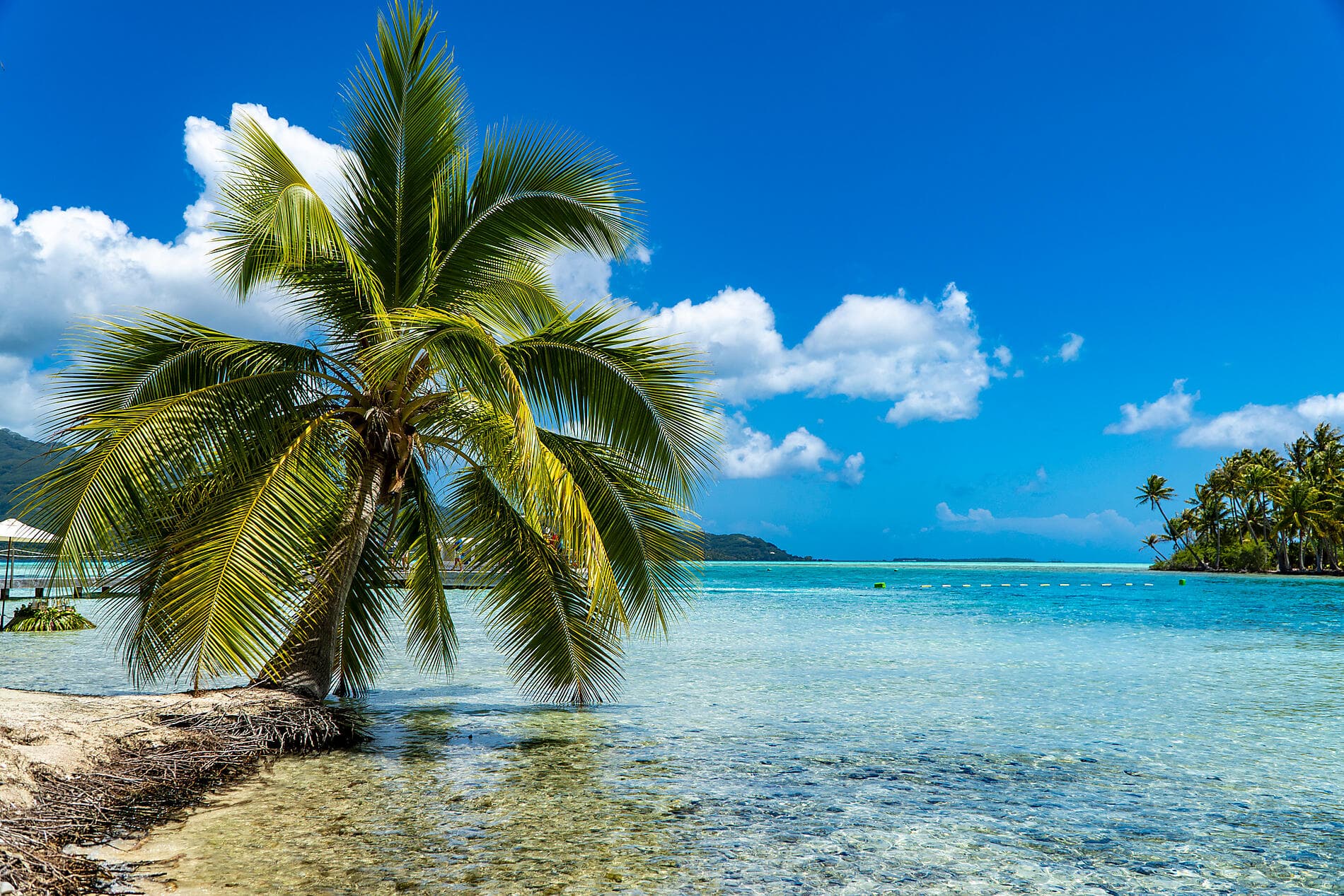 Tahiti and the Society Islands