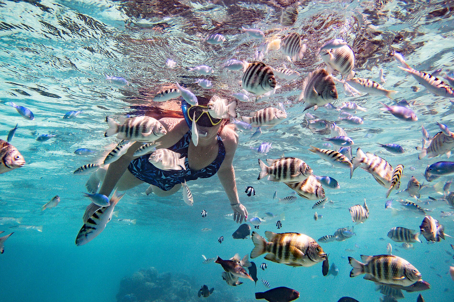 Tahiti and the Society Islands