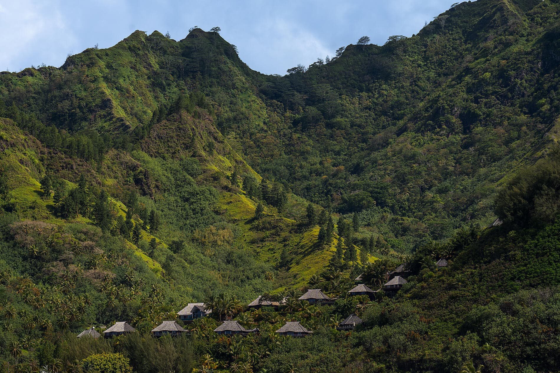 Society Islands & The Tuamotus 