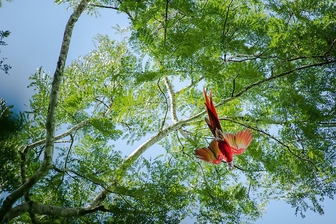 Pacific Coast of Costa Rica