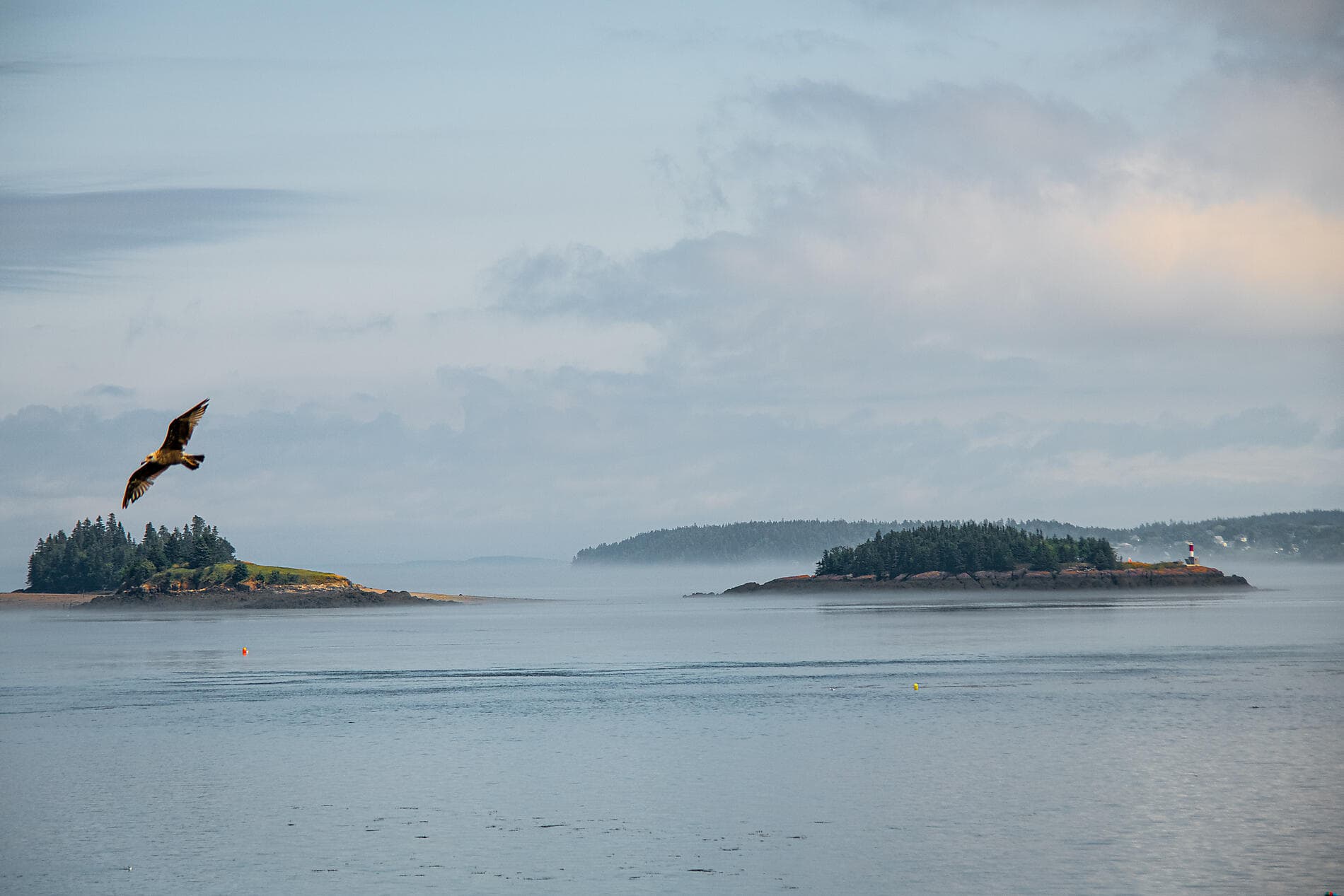 Historic North American Shores 