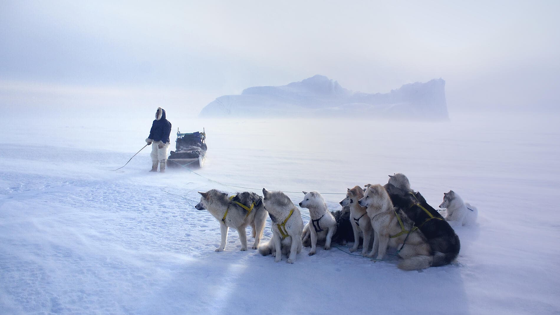 Encounter with the Last Guardians of the North Pole