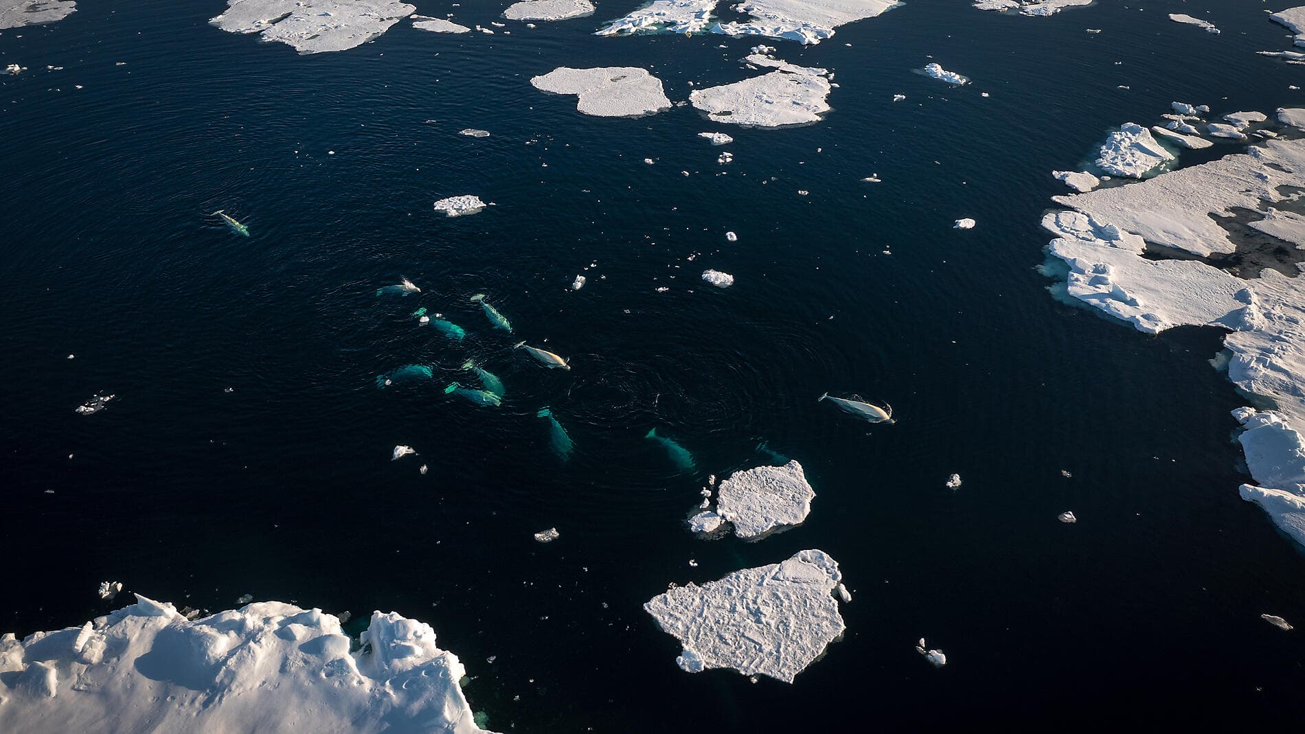 Beyond the inhabited world