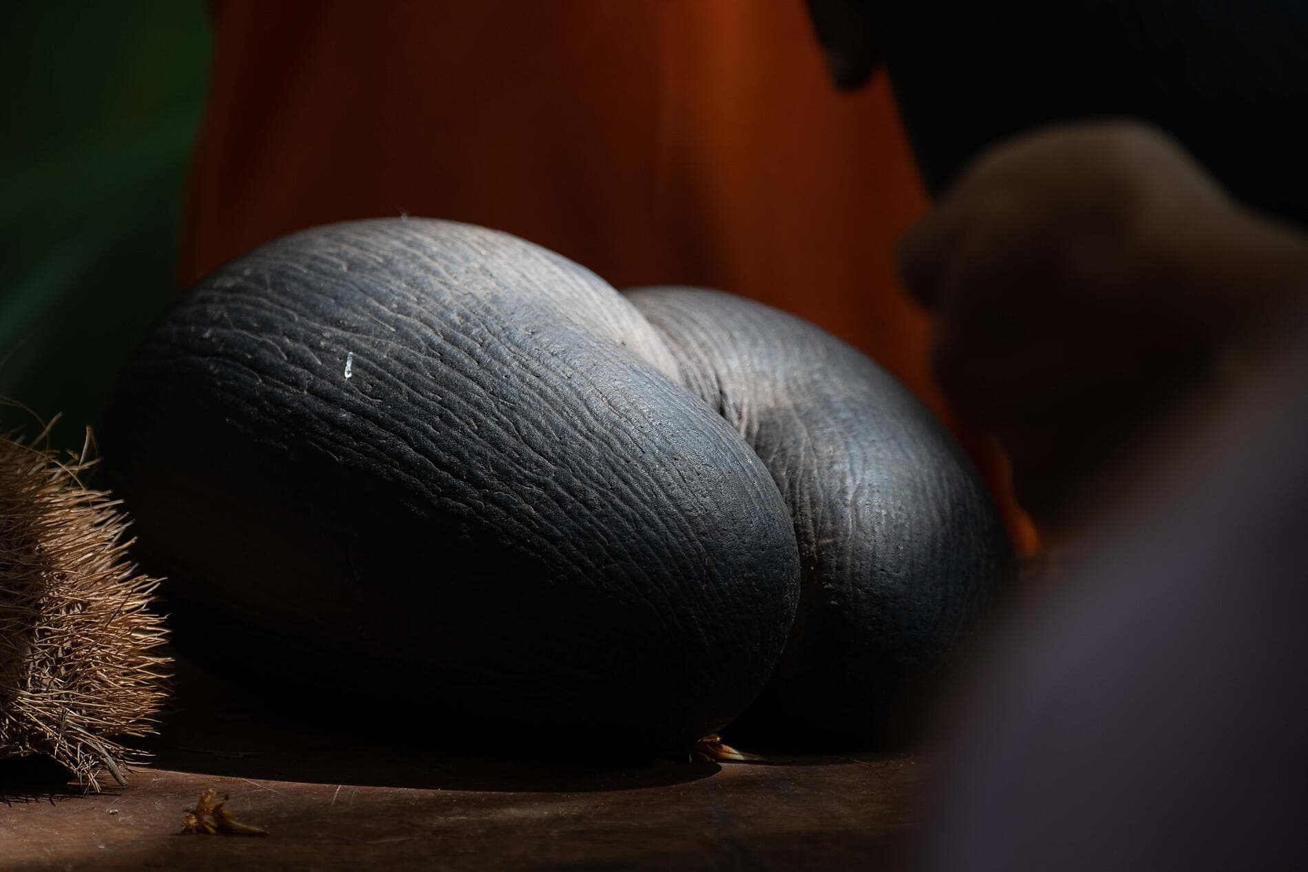 The essential Seychelles