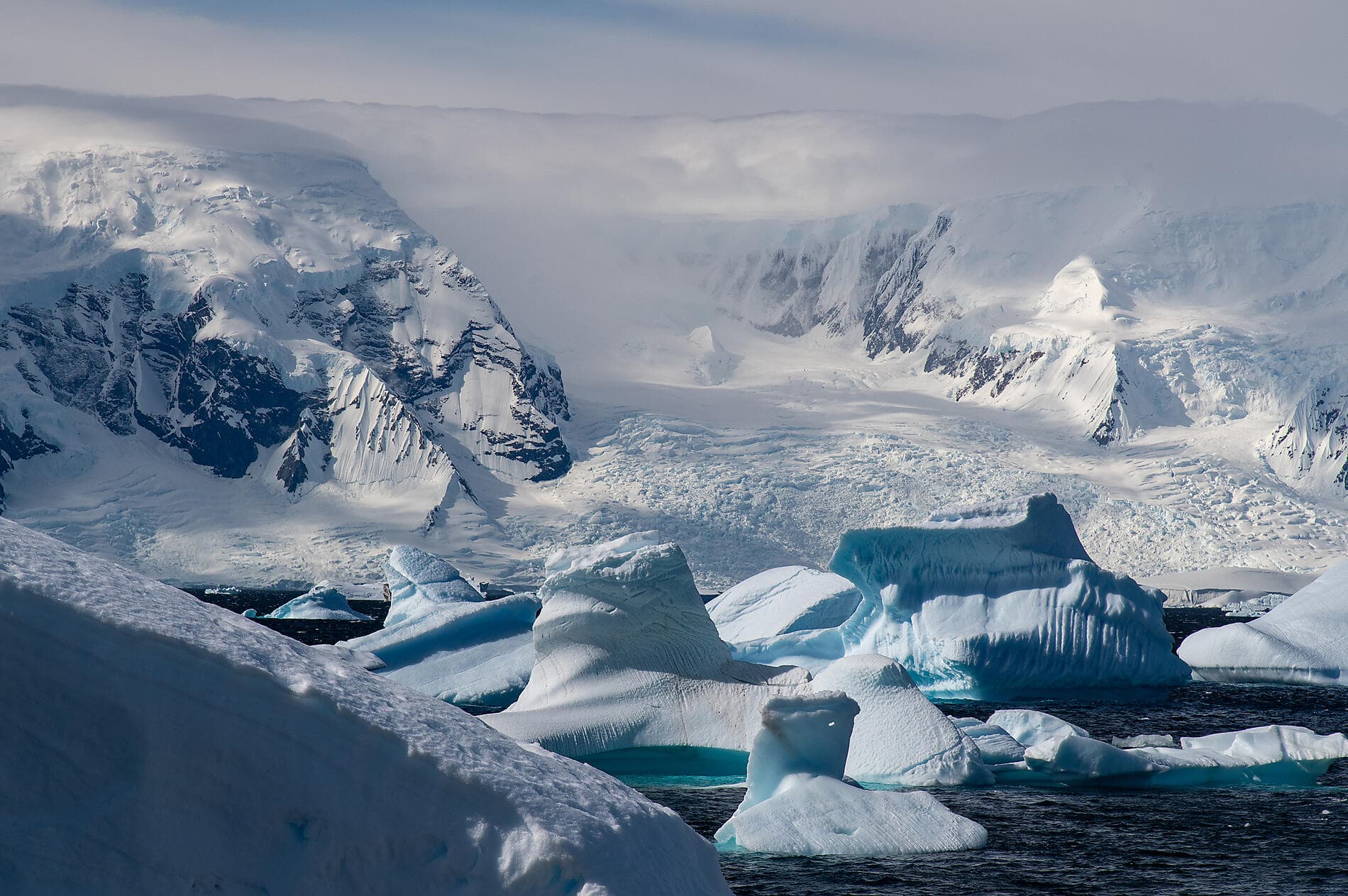 Antarctica: Ocean (Re)Imagined - with Woods Hole Oceanographic Institution 