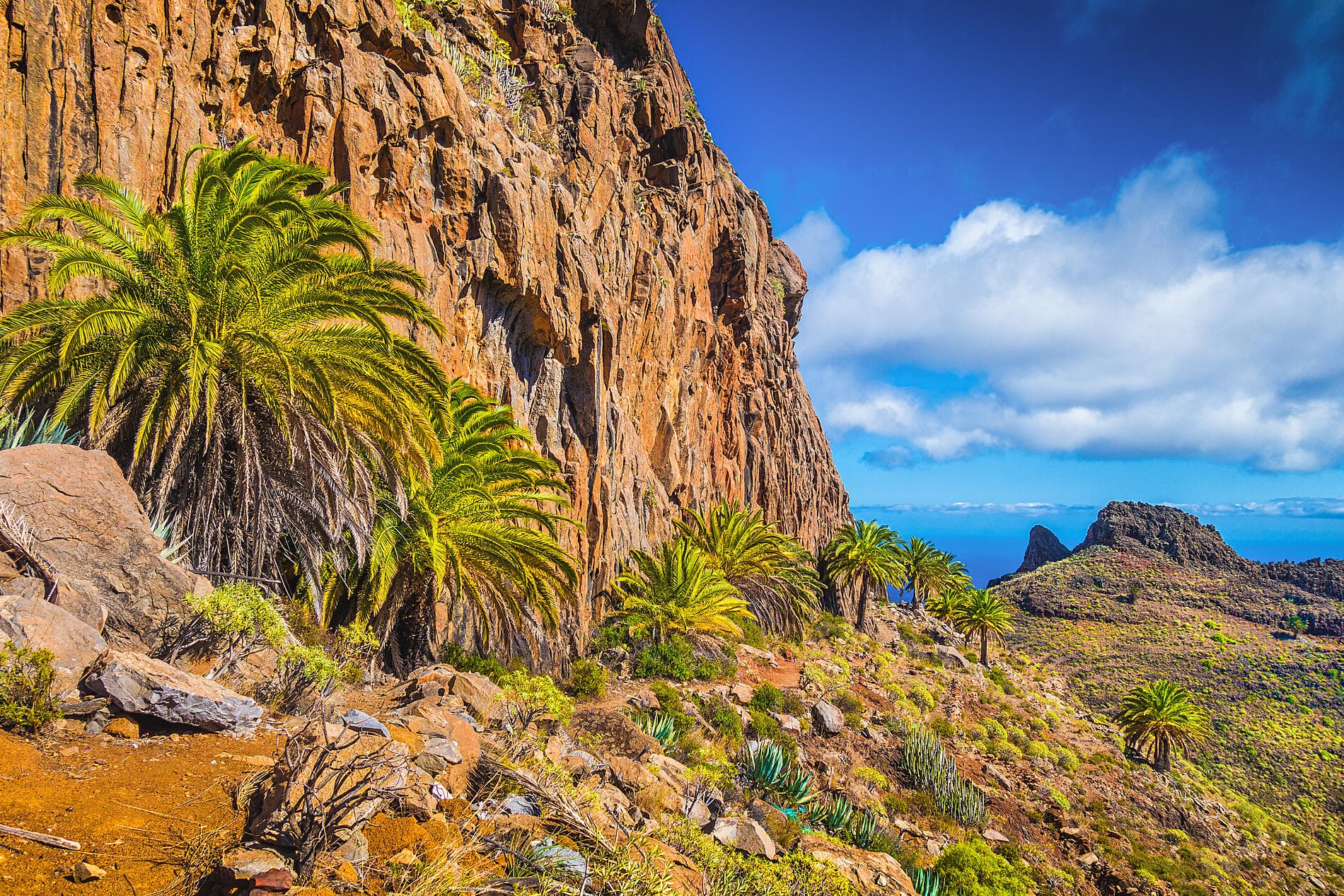 Splendours of the Canaries and authentic Madeira 