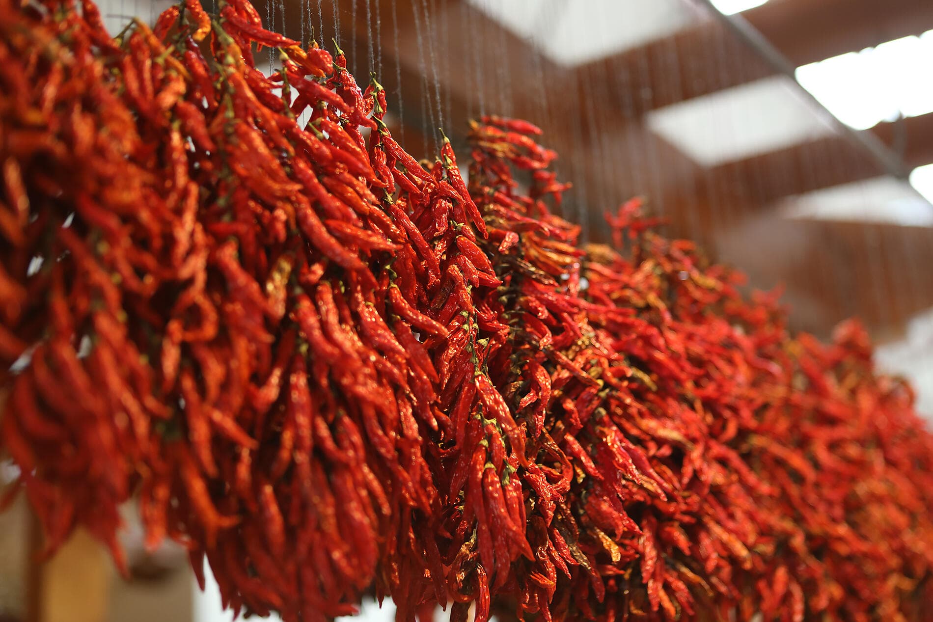 Rhythms of Spain: From the Canaries to Málaga 