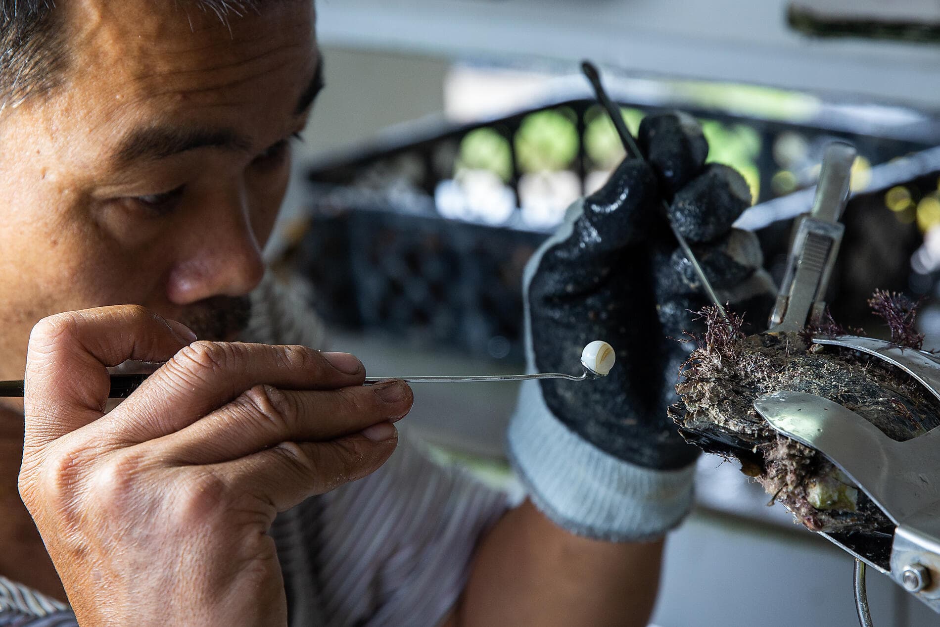 From Confidential French Polynesia to Pitcairn Island