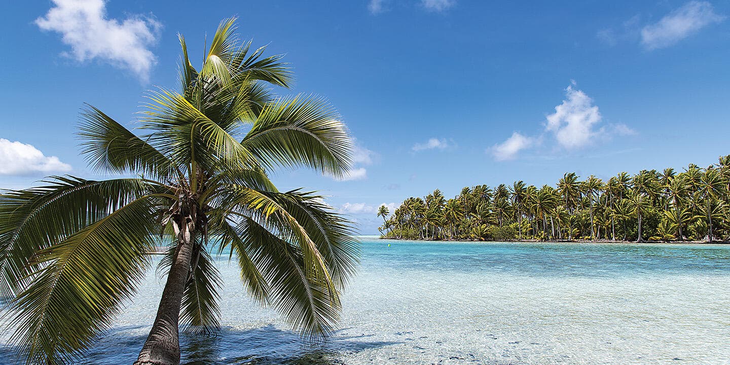 The archipelagos and ancestral cultures of the South Pacific 