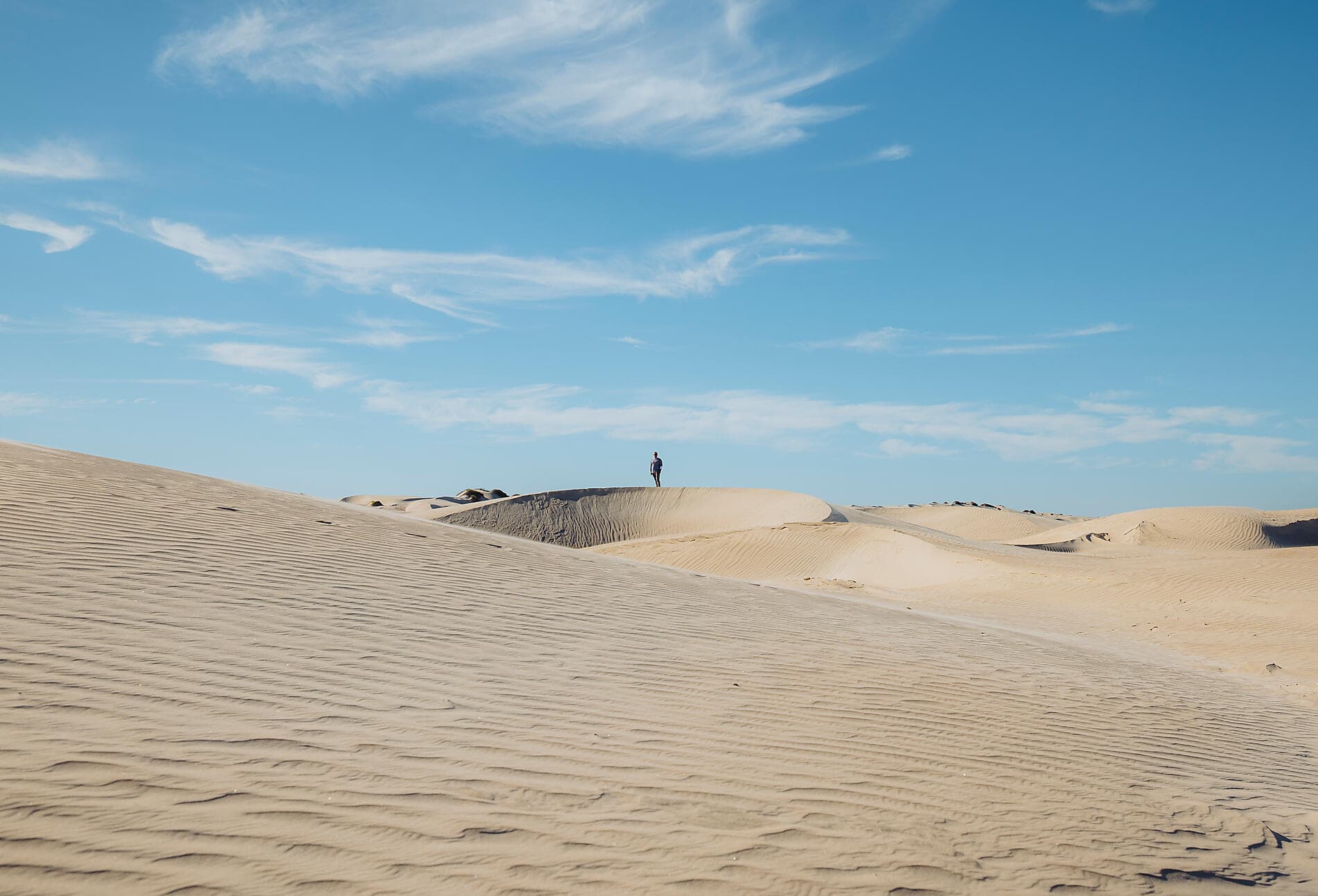 Baja and the Sea of Cortez: In Search of the Great Whales – with Smithsonian Journeys