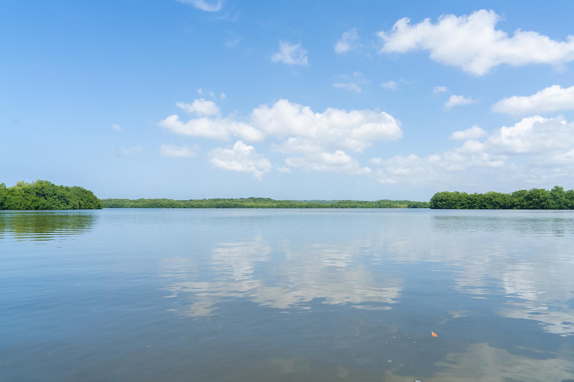 Panama, Colombia & Caribbean Islands 