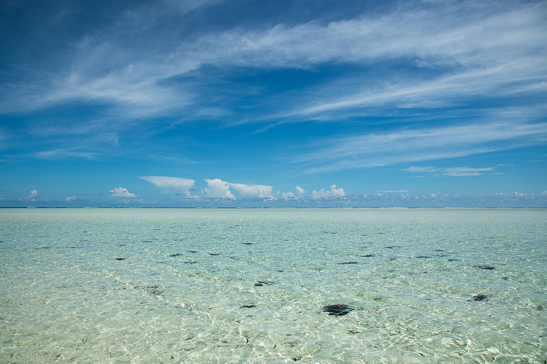 Madagascar and Seychelles: Natural Treasures of the Indian Ocean – with Smithsonian Journeys