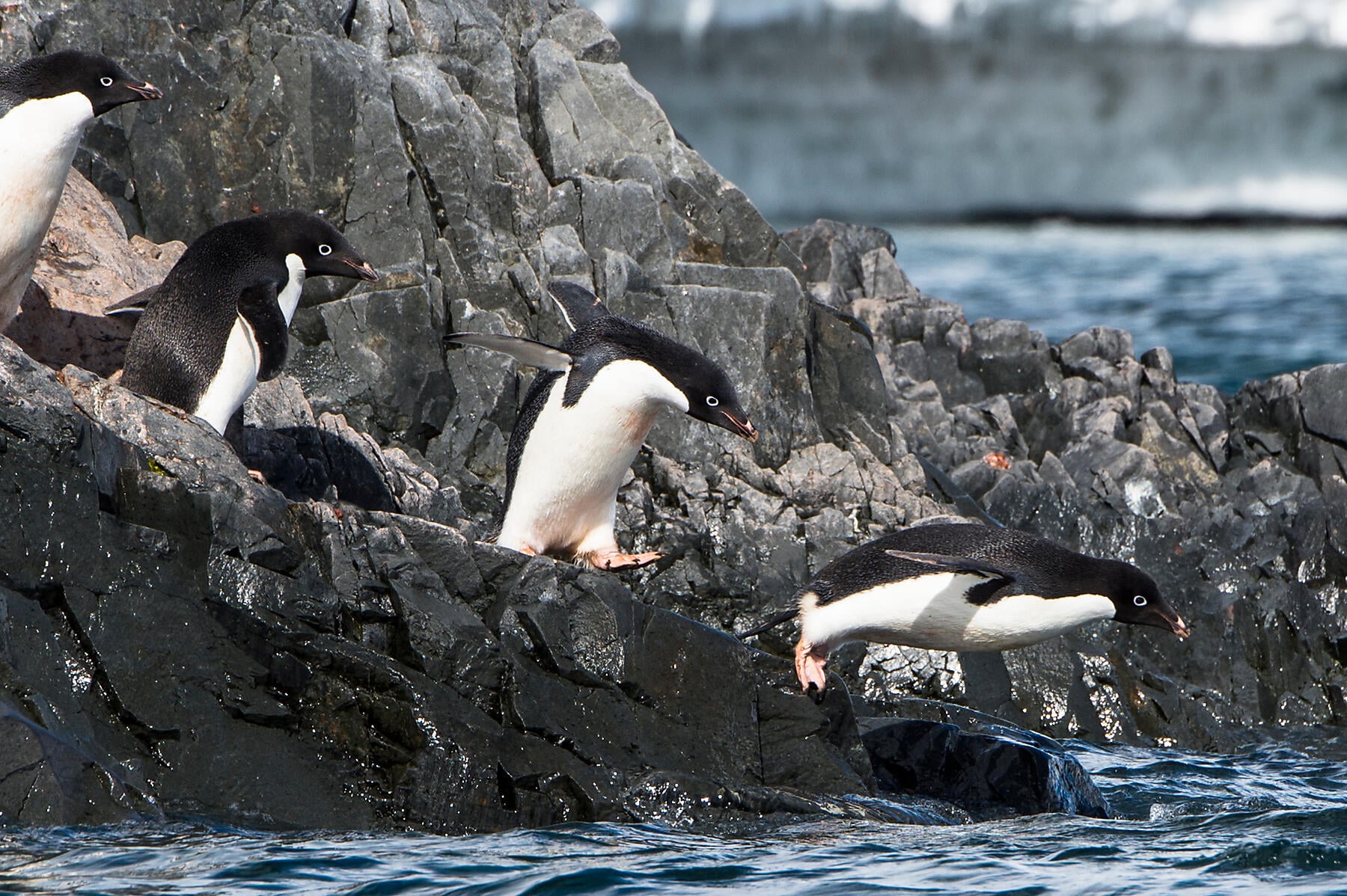 5212 brown bluff.jpg