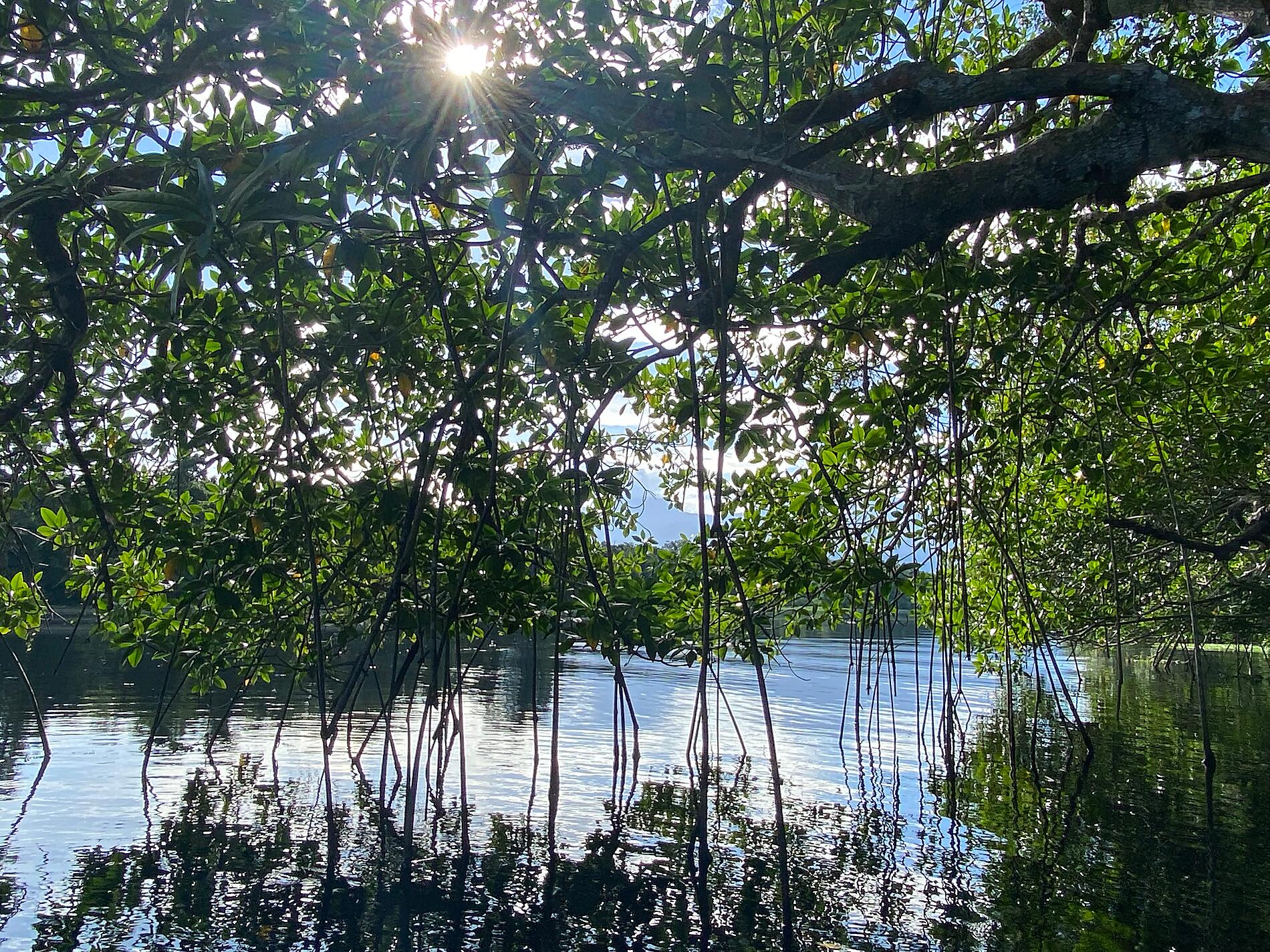 IMG_1674_Le Ensenada@JoseSarica.JPG